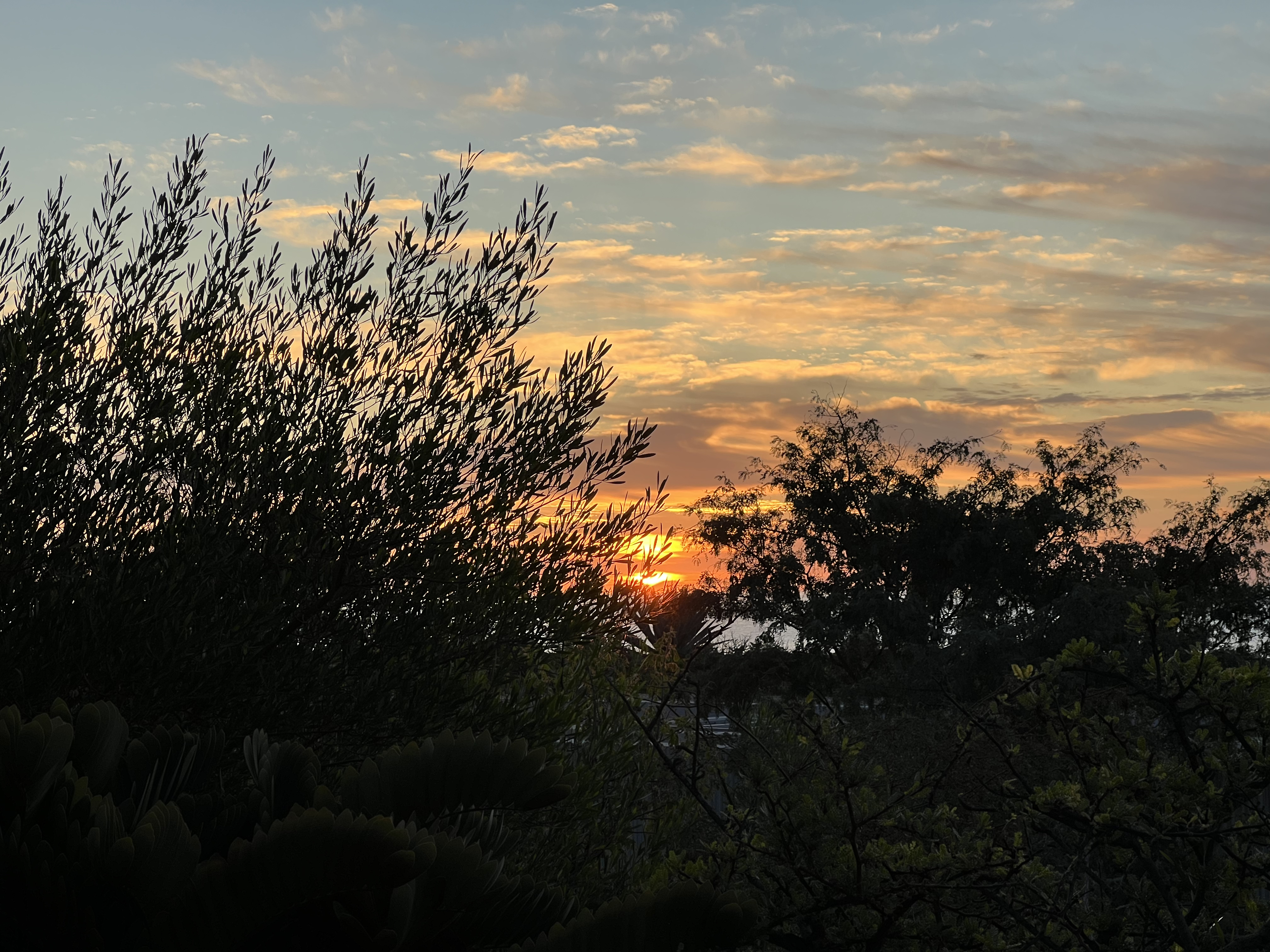 ./2024/13 - Cabo/IMG_4195.jpg